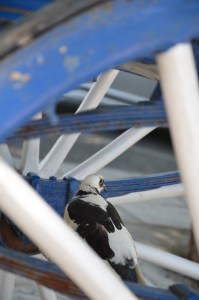 Korfu 2014 - annablogie