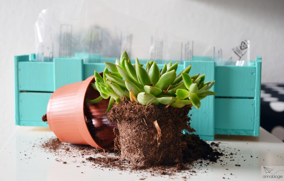 DIY Blumenkasten - annablogie