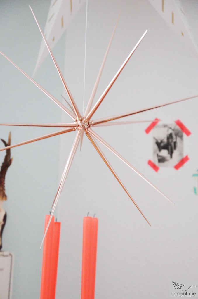 Weihnachtsstern Detail annablogie