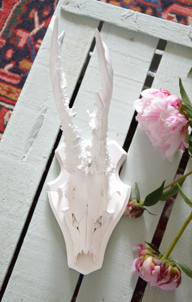 Frisch lackiertes Geweih