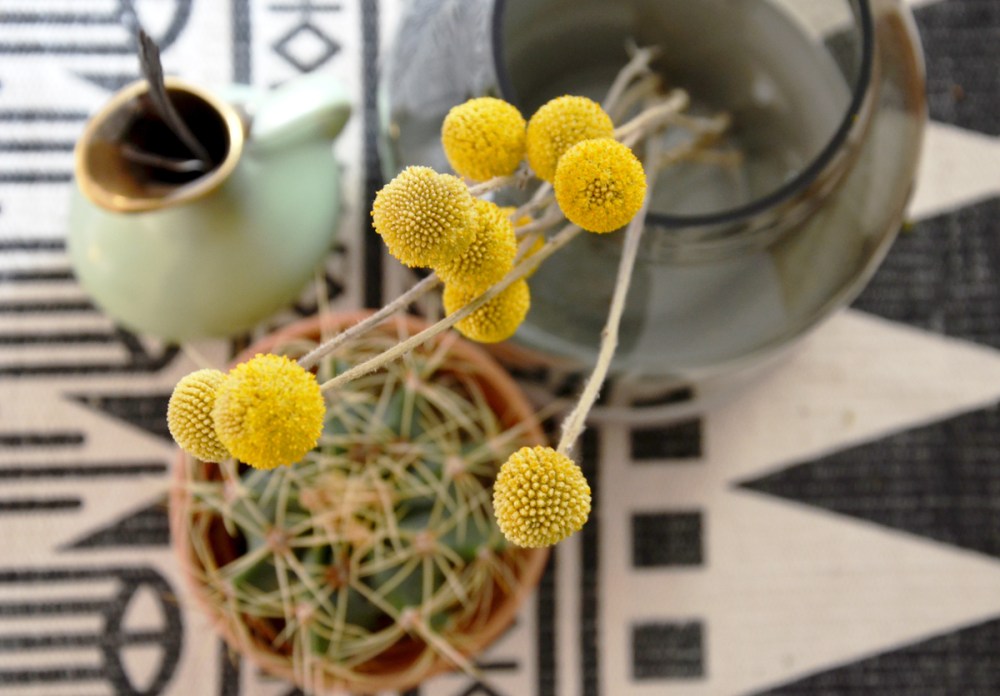 Herbst bei annablogie