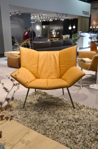 Cognac kommt wieder.