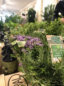 Der toom PopUp Store in Köln