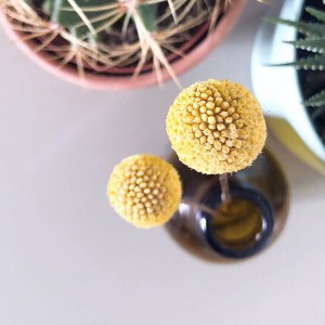 Trendfarbe 2019: Aspen Gold von Pantone